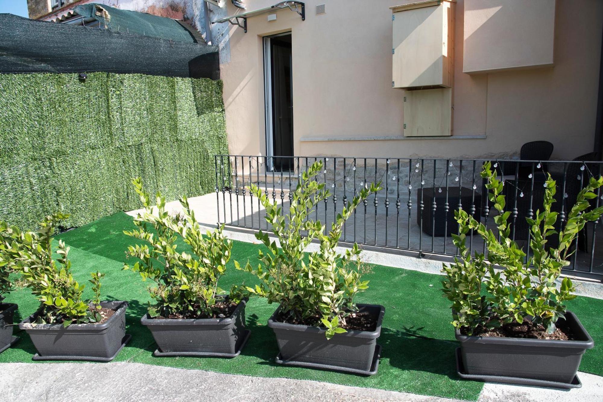 Queen Appartamenti E Camere Campofilone Экстерьер фото